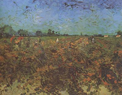 Vincent Van Gogh The Green Vineyard (nn04) oil painting picture